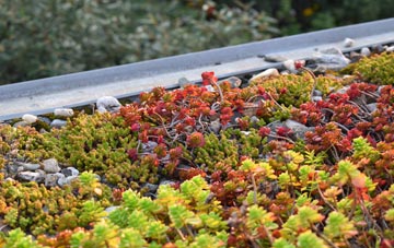 the cost of Pullyernan green roof installation