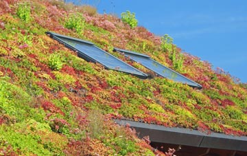 Pullyernan living roof systems
