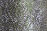 Pullyernan fibreglass roof work